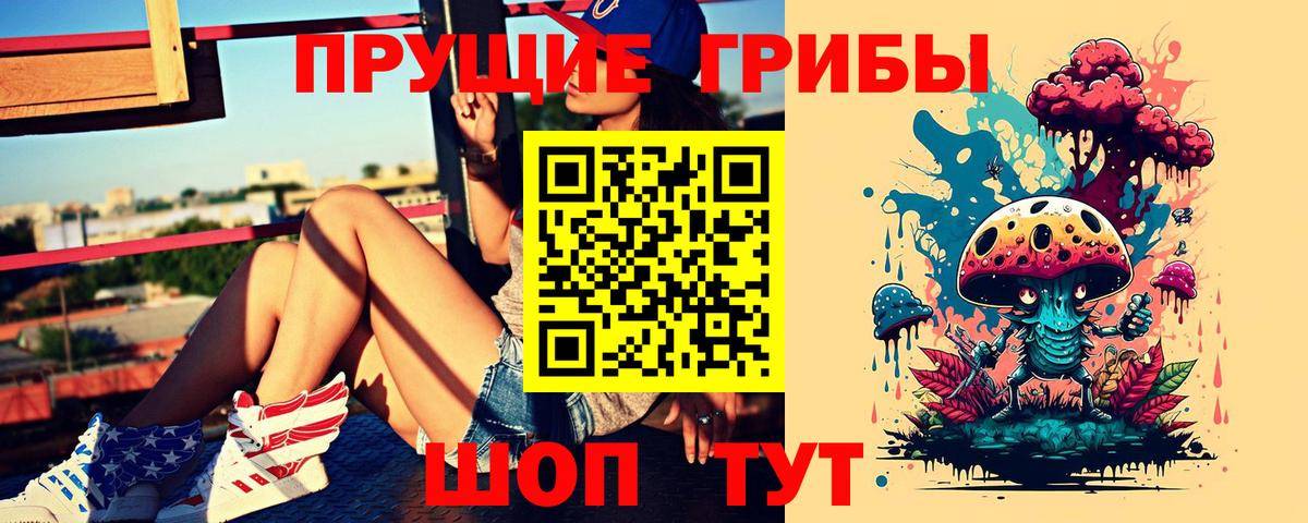 Галлюциногенные грибы Psilocybe Котельники