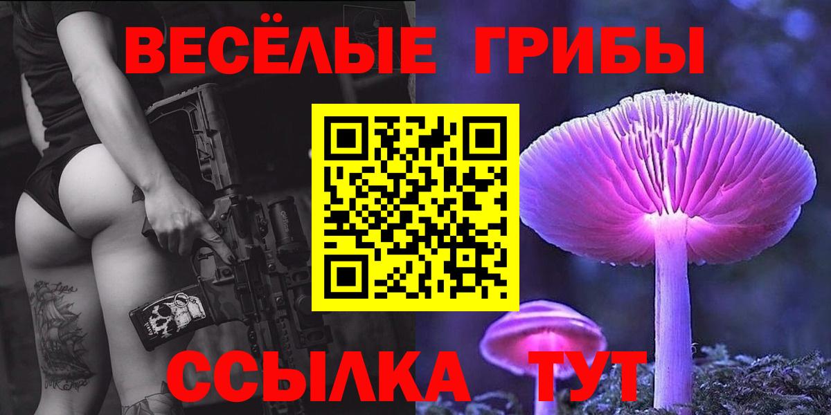 Котельники  Галлюциногенные грибы GOLDEN TEACHER  Вход с VPN  Псилоцибиновые грибы ЛСД 